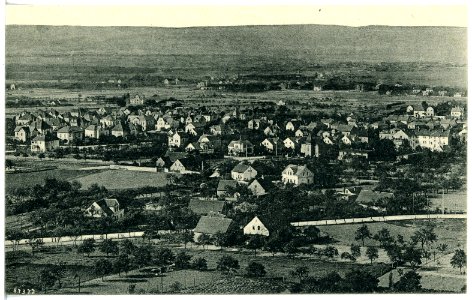 20469-Weinböhla-1917-Blick vom Albertturm auf Weinböhla-Brück & Sohn Kunstverlag