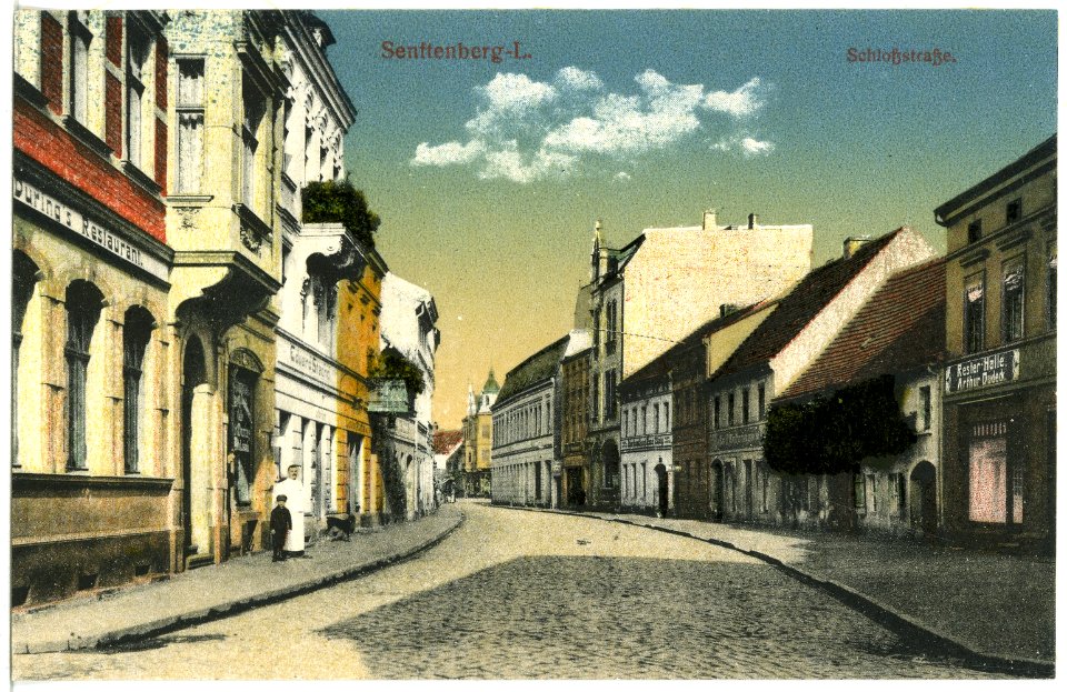 20428-Senftenberg-1917-Schloßstraße-Brück & Sohn Kunstverlag