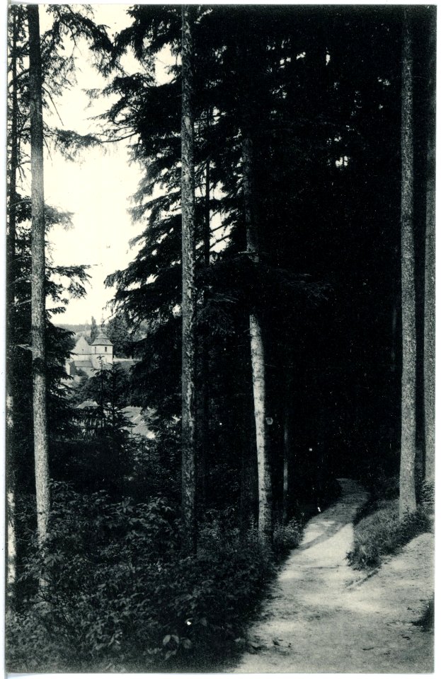 19108-Gottleuba-1915-Tannenbuschpromenade mit Blick auf die Kirche-Brück & Sohn Kunstverlag
