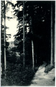 19108-Gottleuba-1915-Tannenbuschpromenade mit Blick auf die Kirche-Brück & Sohn Kunstverlag