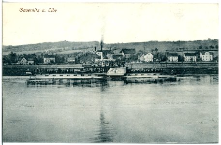 20254-Gauernitz-1916-Elbhäuser - Elbe mit Dampfer Bodenbach-Brück & Sohn Kunstverlag