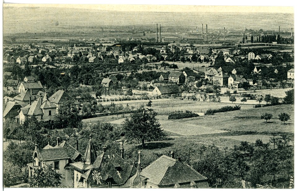 20473-Weinböhla-1917-Blick nach Niederau-Brück & Sohn Kunstverlag
