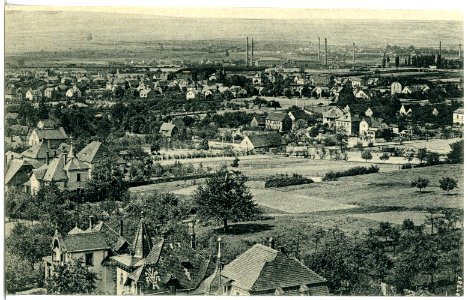 20473-Weinböhla-1917-Blick nach Niederau-Brück & Sohn Kunstverlag