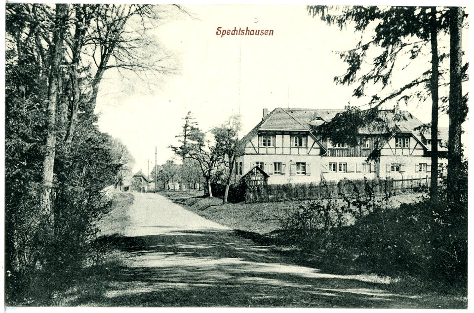 20451-Spechtshausen-1917-Försterei-Brück & Sohn Kunstverlag