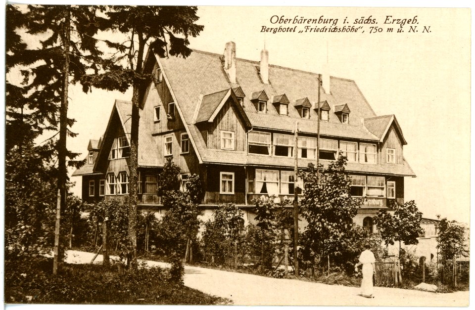 19074-Oberbärenburg-1915-Berghotel Friedrichshöhe-Brück & Sohn Kunstverlag