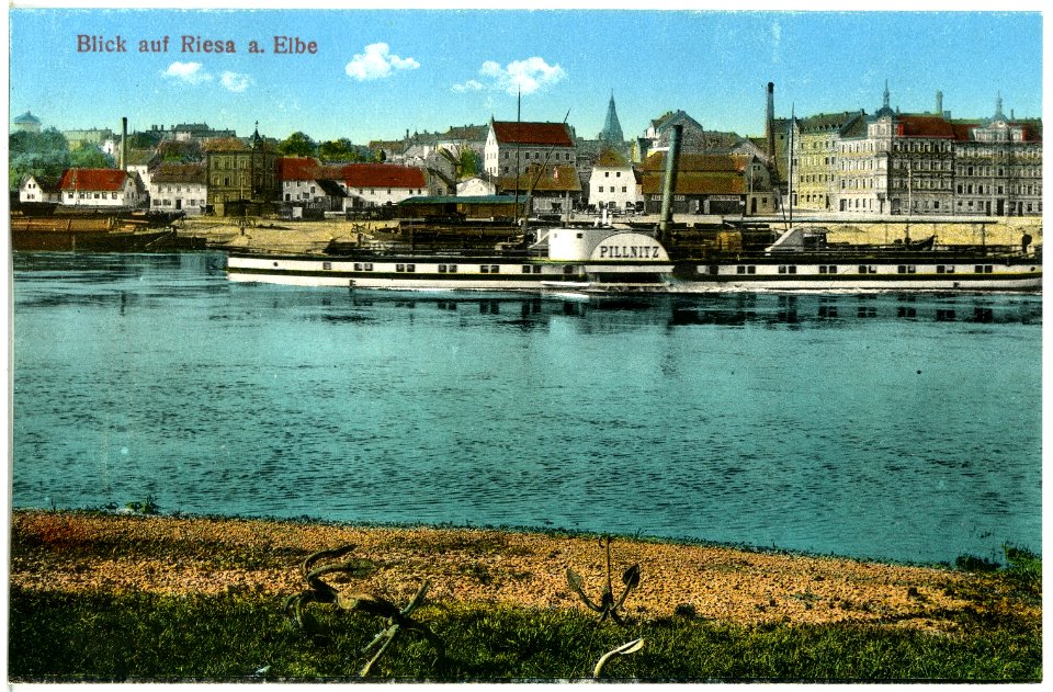 19388-Riesa-1915-Blick auf Riesa mit Elbe und Dampfer Pillnitz-Brück & Sohn Kunstverlag