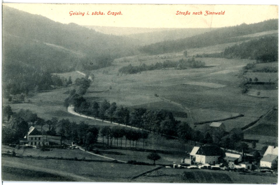 19030-Geising-1915-Straße nach Zinnwald-Brück & Sohn Kunstverlag