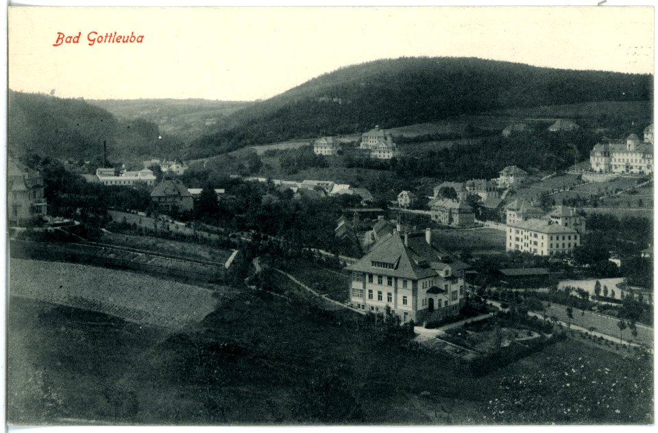 19110-Gottleuba-1915-Blick auf Bad Gottleuba-Brück & Sohn Kunstverlag