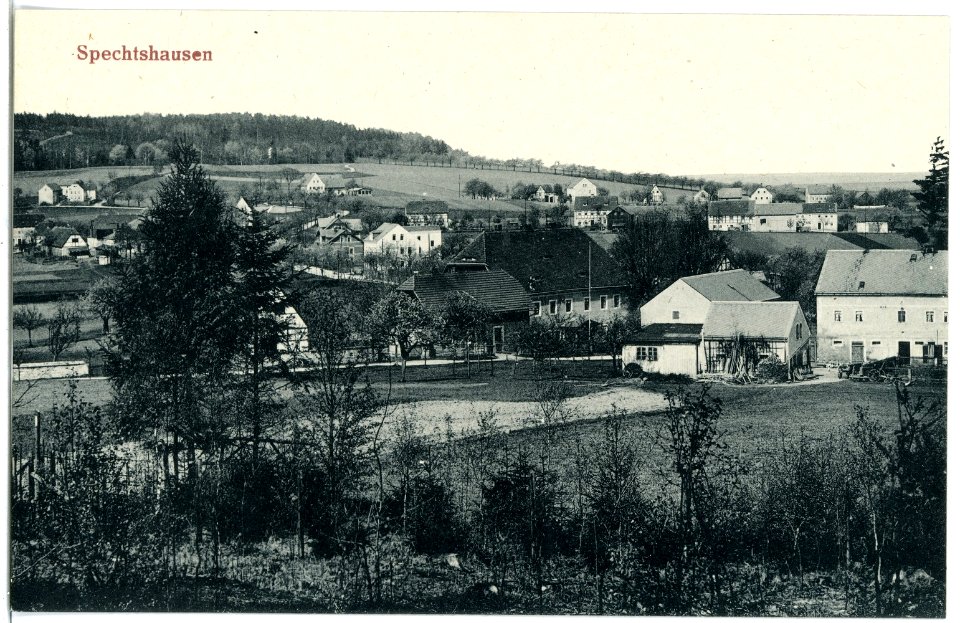 20450-Spechtshausen-1917-Blick auf Spechtshausen-Brück & Sohn Kunstverlag