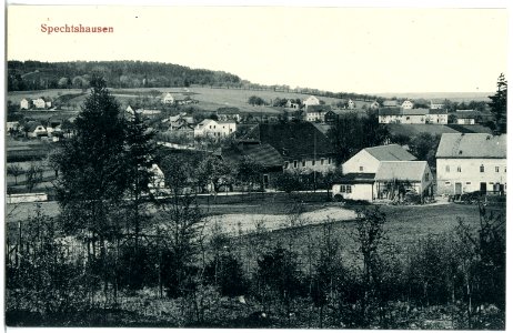 20450-Spechtshausen-1917-Blick auf Spechtshausen-Brück & Sohn Kunstverlag