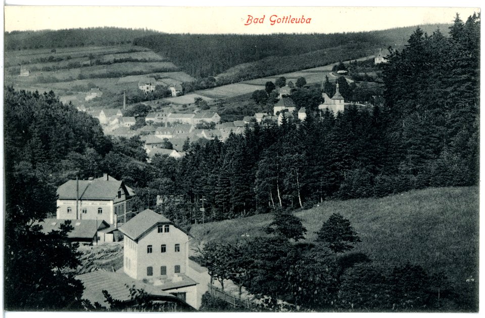 19114-Gottleuba-1915-Blick auf Bad Gottleuba-Brück & Sohn Kunstverlag