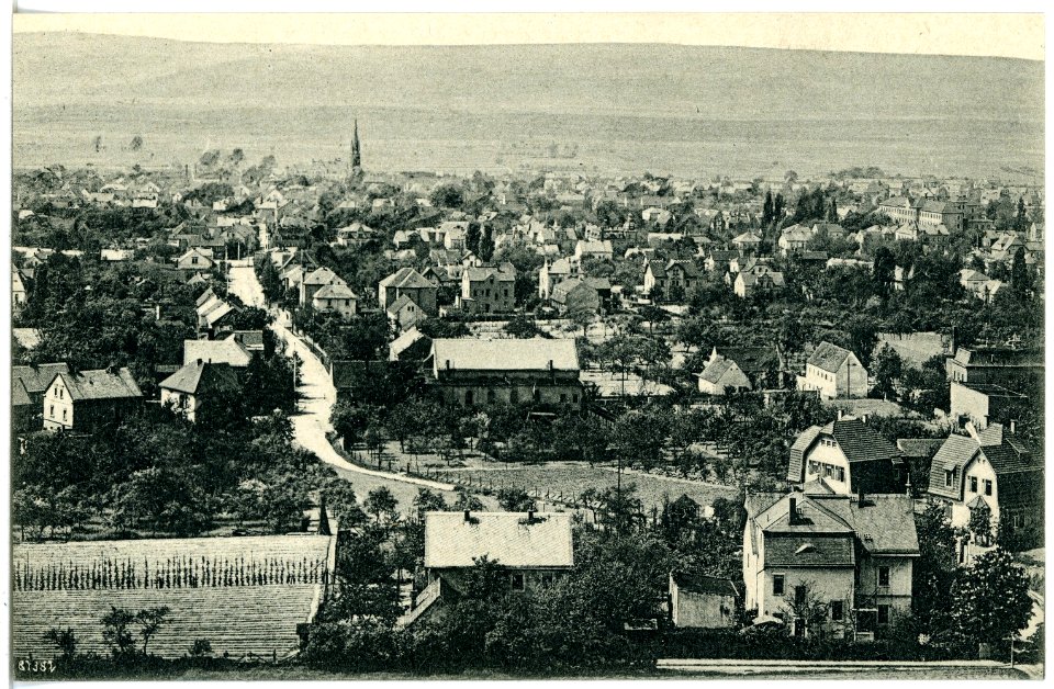 20474-Weinböhla-1917-Blick vom Albertturm-Brück & Sohn Kunstverlag