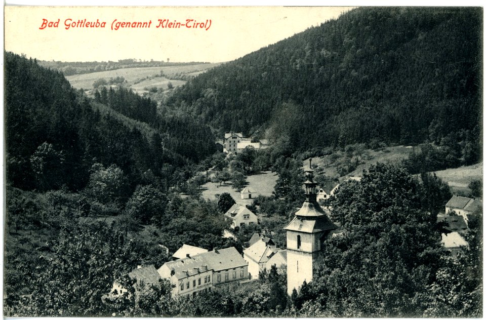19107-Gottleuba-1915-Blick auf Gottleuba-Brück & Sohn Kunstverlag
