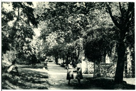 20704-Wittenberg-1917-Im Stadtpark-Brück & Sohn Kunstverlag
