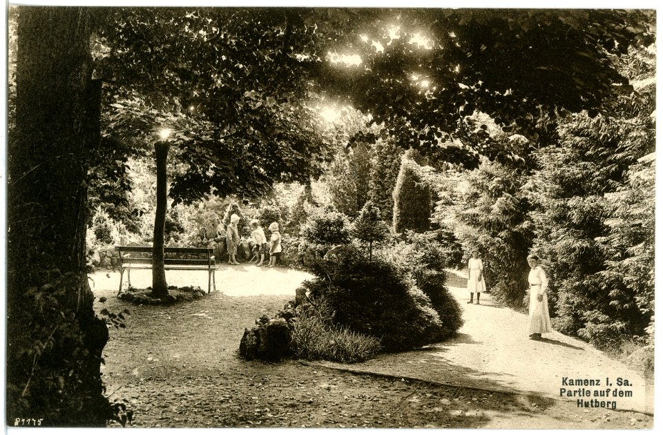 20289-Kamenz-1916-Partie auf dem Hutberg-Brück & Sohn Kunstverlag