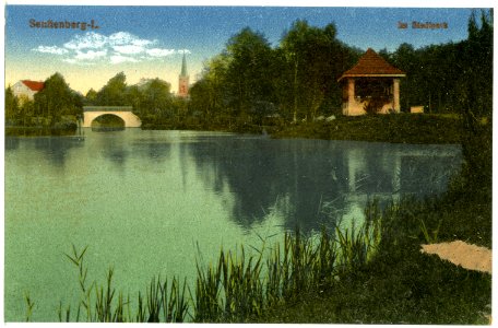 20439-Senftenberg-1917-Stadtpark-Brück & Sohn Kunstverlag