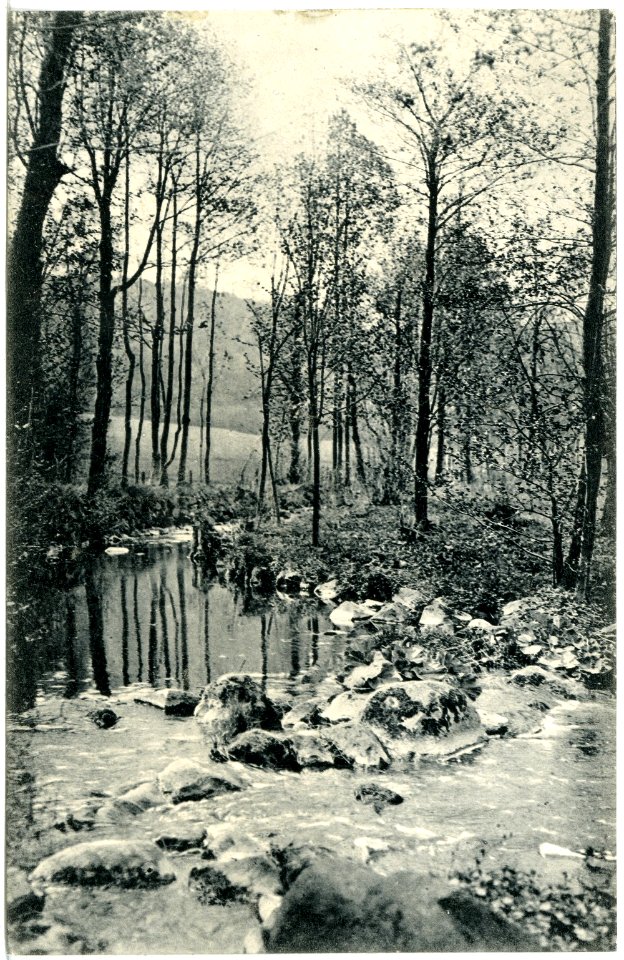 20256-Gauernitz-1916-Saubachtal-Brück & Sohn Kunstverlag