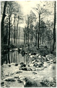 20256-Gauernitz-1916-Saubachtal-Brück & Sohn Kunstverlag