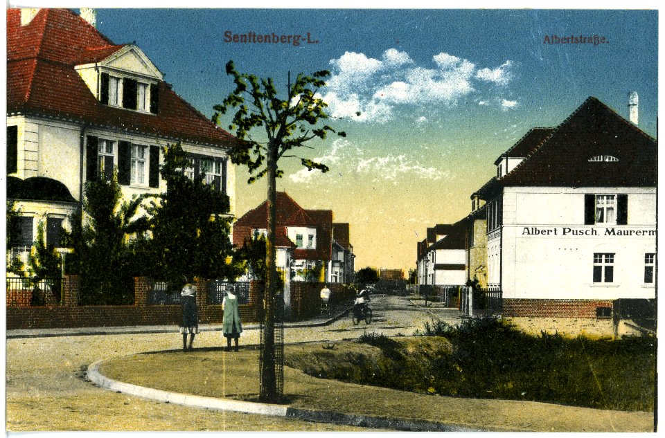 20436-Senftenberg-1917-Albertstraße-Brück & Sohn Kunstverlag