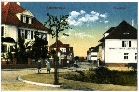 20436-Senftenberg-1917-Albertstraße-Brück & Sohn Kunstverlag