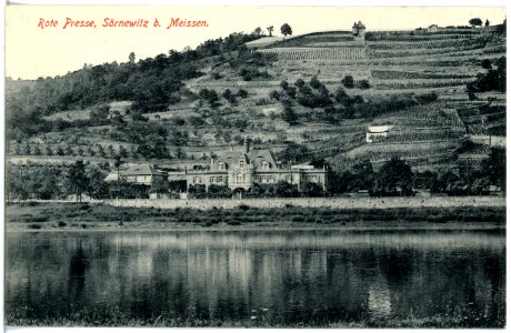 19191-Sörnewitz-1915-Rote Presse-Brück & Sohn Kunstverlag