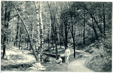 19130-Dresden-1915-Garnison-Lazarett (Reserve-Lazarett I)-Brück & Sohn Kunstverlag
