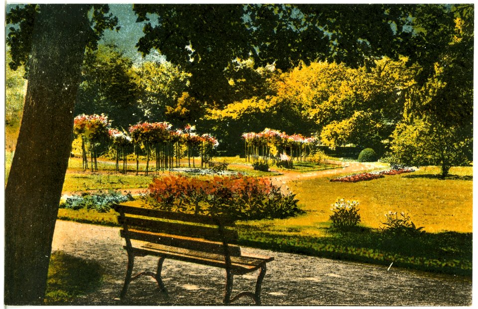 20394-Großenhain-1917-Stadtpark-Brück & Sohn Kunstverlag