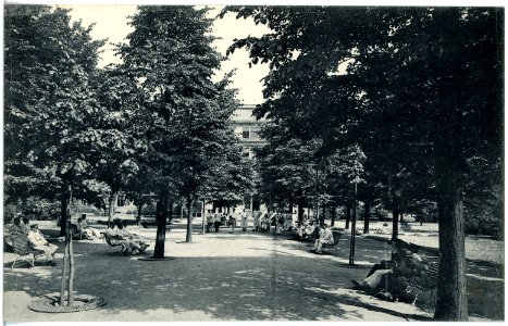 19138-Dresden-1915-Garnison-Lazarett (Reserve-Lazarett I)-Brück & Sohn Kunstverlag