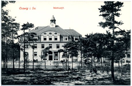 19377-Coswig-1915-Wettinstift-Brück & Sohn Kunstverlag
