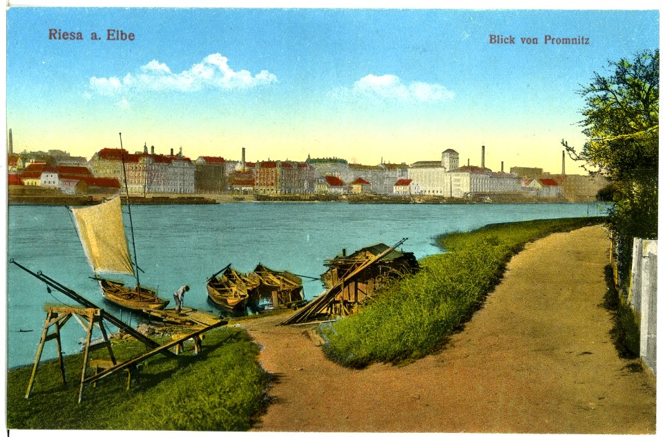 19392-Riesa-1915-Blick von Promnitz auf Riesa - Elbe mit Booten-Brück & Sohn Kunstverlag