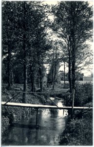19006-Wilsdruff-1915-Stadtpark, Saubachpartie-Brück & Sohn Kunstverlag