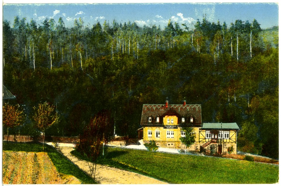 20197-Waldheim-1916-Restaurant und Cafe Waldfrieden-Brück & Sohn Kunstverlag