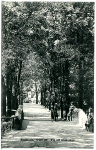 20321-Großenhain-1917-Stadtpark, Weg mit Jahndenkmal-Brück & Sohn Kunstverlag