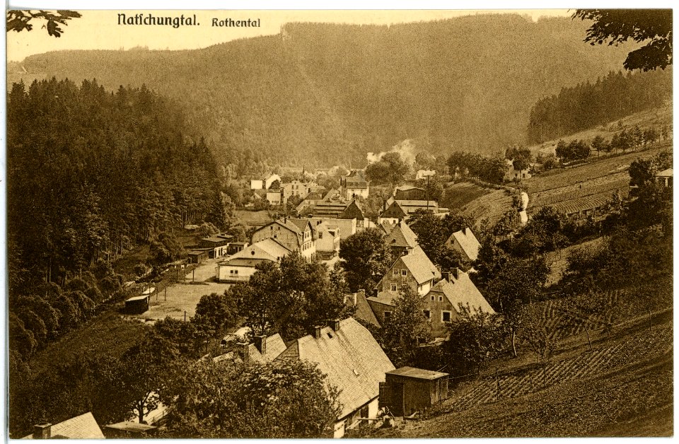 20336-Natschungtal-1917-Rothental-Brück & Sohn Kunstverlag