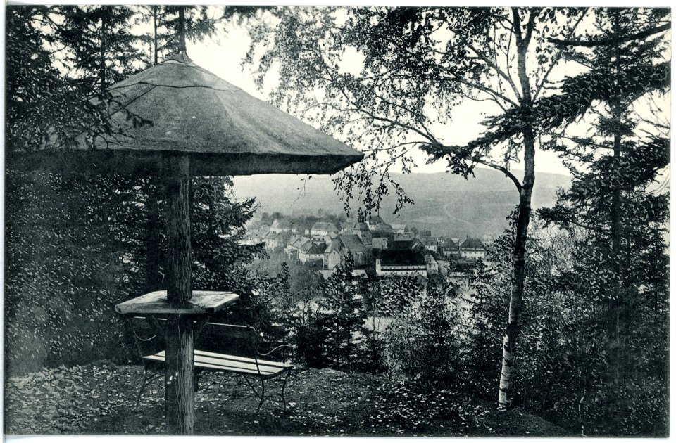 19008-Lauenstein-1915-Blick nach der Stadt-Brück & Sohn Kunstverlag