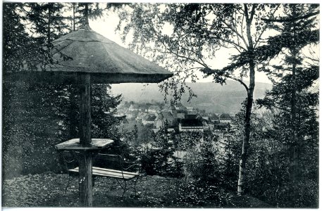 19008-Lauenstein-1915-Blick nach der Stadt-Brück & Sohn Kunstverlag
