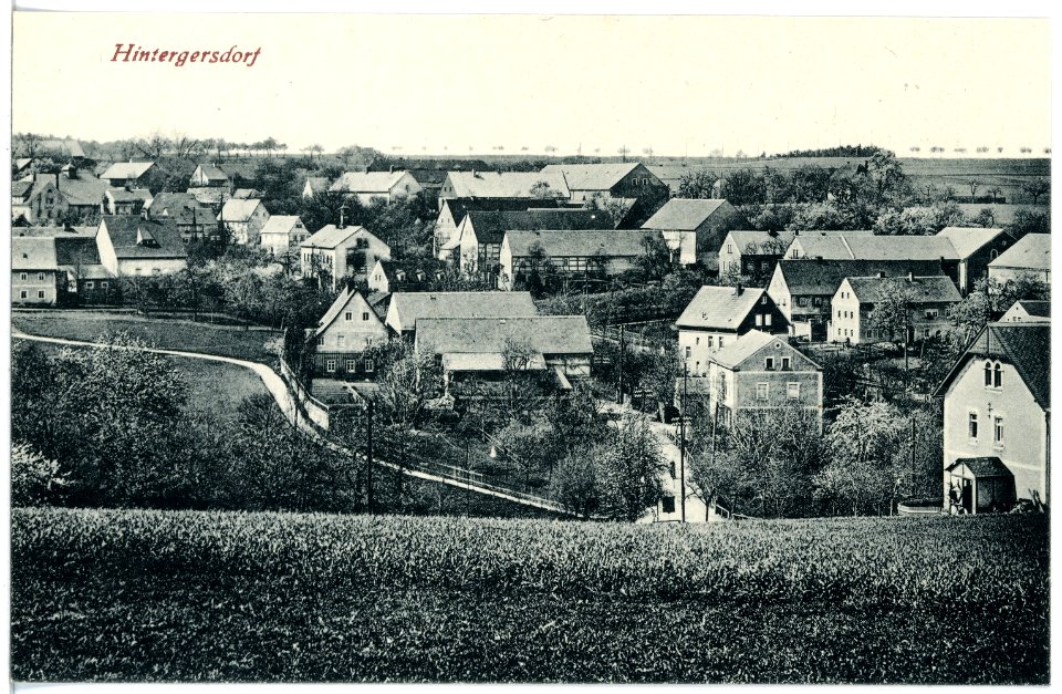 20452-Hintergersdorf-1917-Blick auf Hintergersdorf-Brück & Sohn Kunstverlag