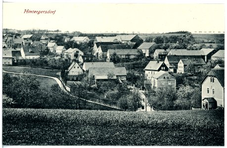 20452-Hintergersdorf-1917-Blick auf Hintergersdorf-Brück & Sohn Kunstverlag
