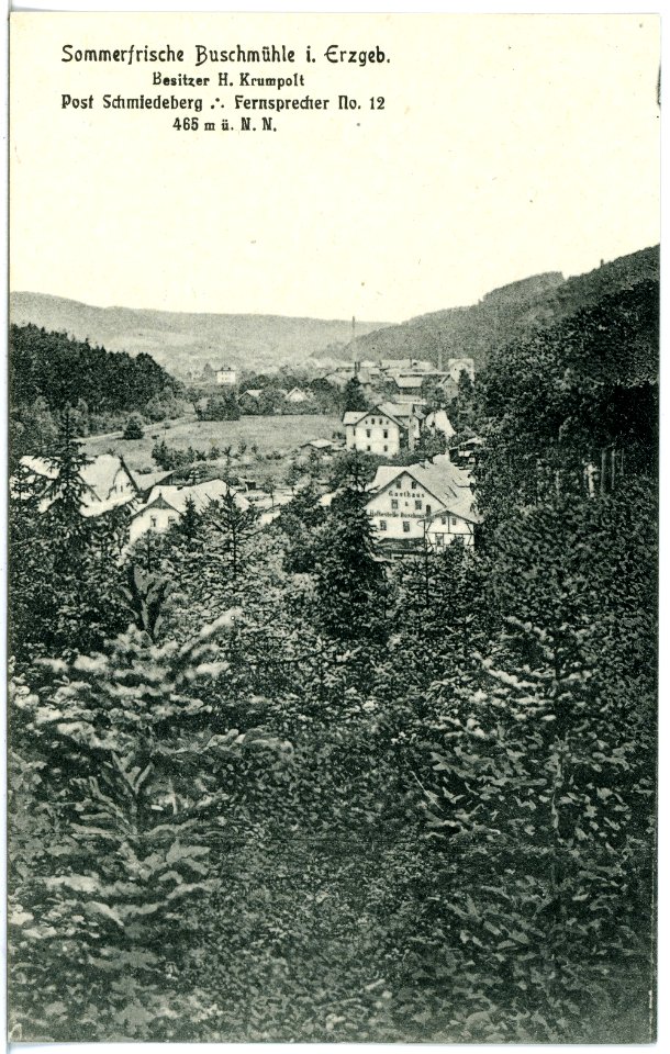 19073-Schmiedeberg-1915-Buschmühle-Brück & Sohn Kunstverlag