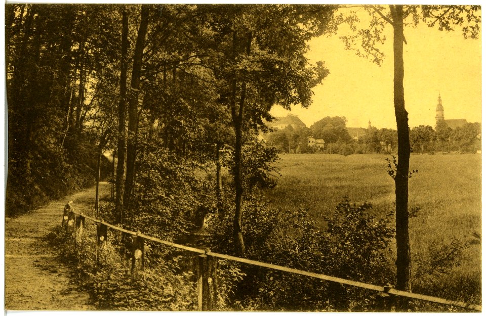 19592-Königsbrück-1915-Promenade-Brück & Sohn Kunstverlag