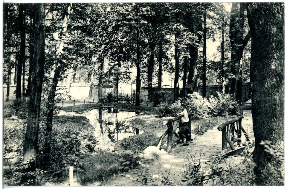 19671-Hainichen-1915-Partie aus dem Stadtwald-Brück & Sohn Kunstverlag