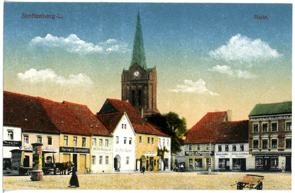 20437-Senftenberg-1917-Markt-Brück & Sohn Kunstverlag