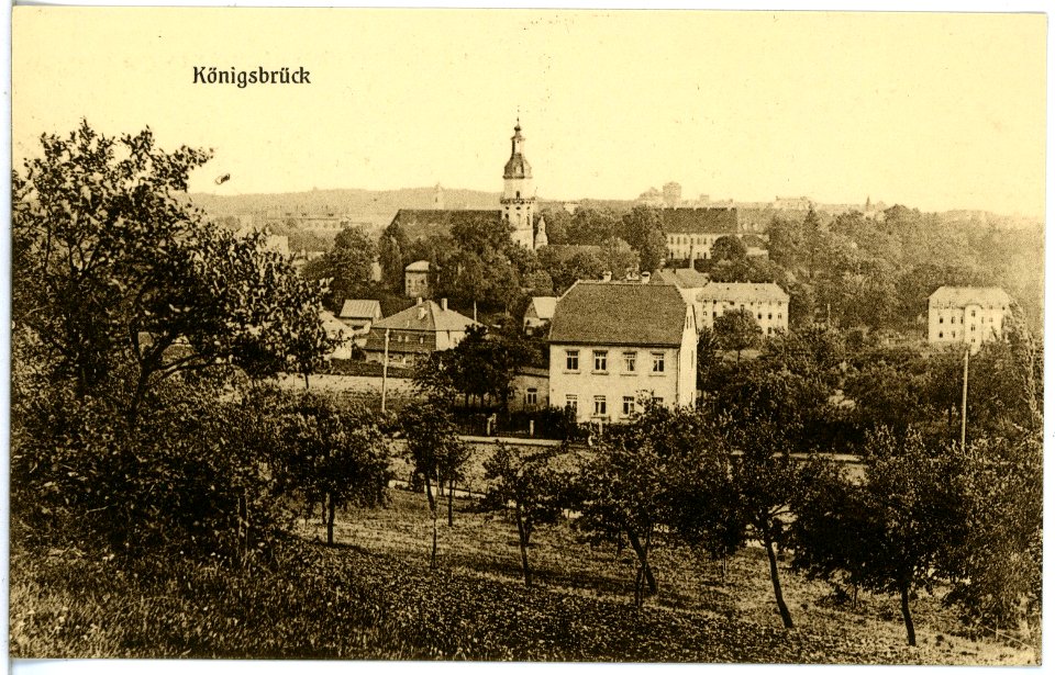 19594-Königsbrück-1915-Blick auf Königsbrück-Brück & Sohn Kunstverlag