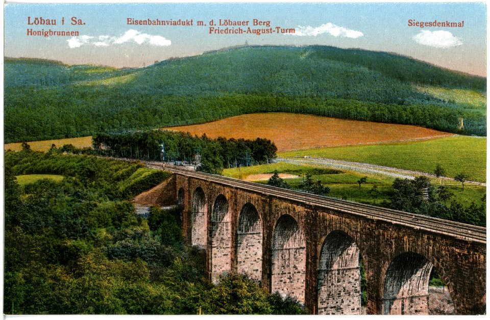 19117-Löbau-1915-Löbauer Berg mit Turm-Brück & Sohn Kunstverlag