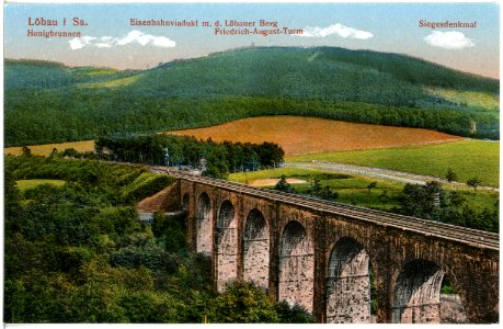 19117-Löbau-1915-Löbauer Berg mit Turm-Brück & Sohn Kunstverlag