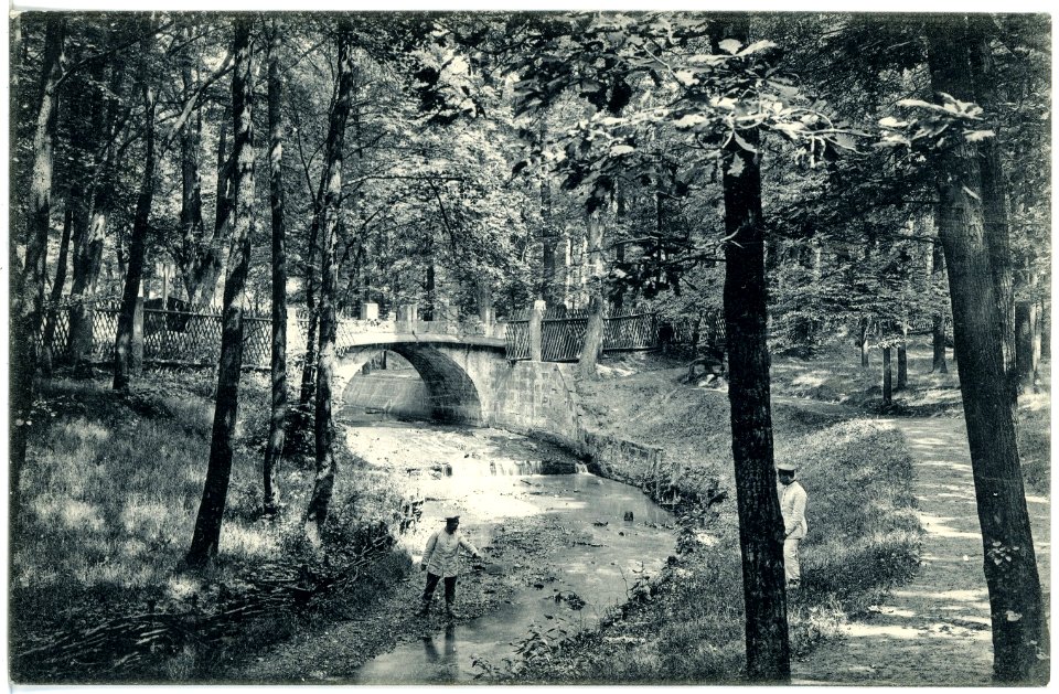 19136-Dresden-1915-Garnison-Lazarett (Reserve-Lazarett I)-Brück & Sohn Kunstverlag