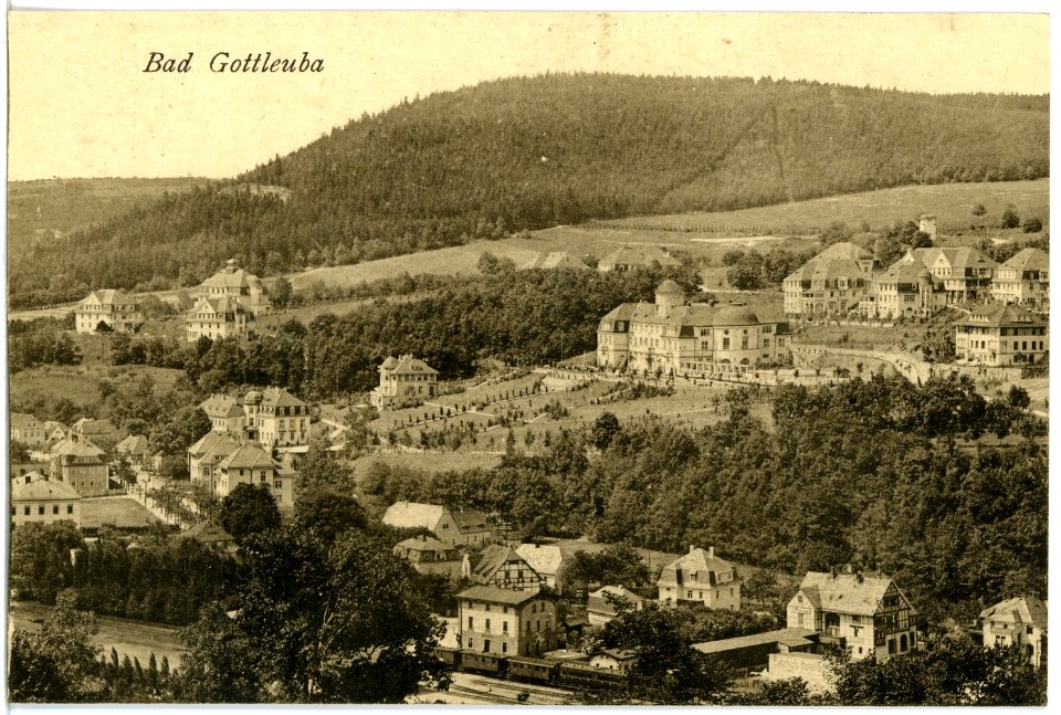 19115-Gottleuba-1915-Blick auf Bad Gottleuba-Brück & Sohn Kunstverlag