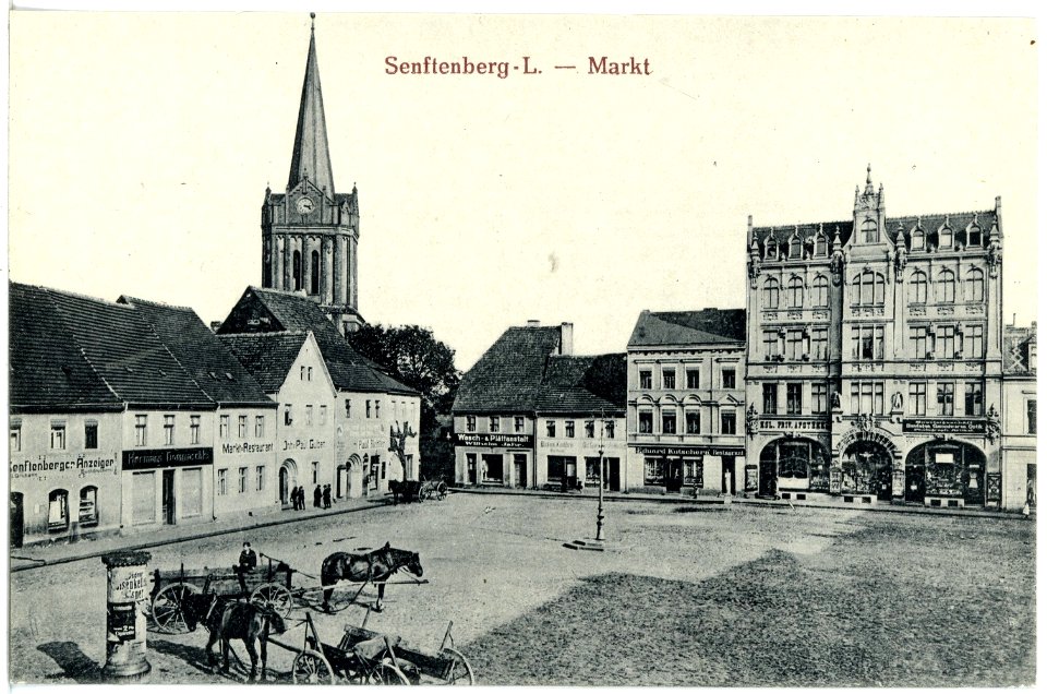 19742-Senftenberg-1915-Markt-Brück & Sohn Kunstverlag