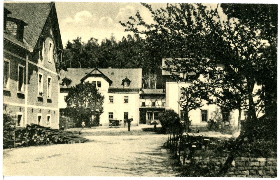 20402-Schmiedeberg-1917-Buschmühle bei Schmiedeberg im Erzgebirge-Brück & Sohn Kunstverlag