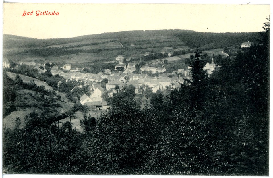 19113-Gottleuba-1915-Blick auf Bad Gottleuba-Brück & Sohn Kunstverlag